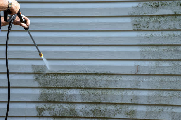 Best Siding Removal and Disposal  in Charleston, WV